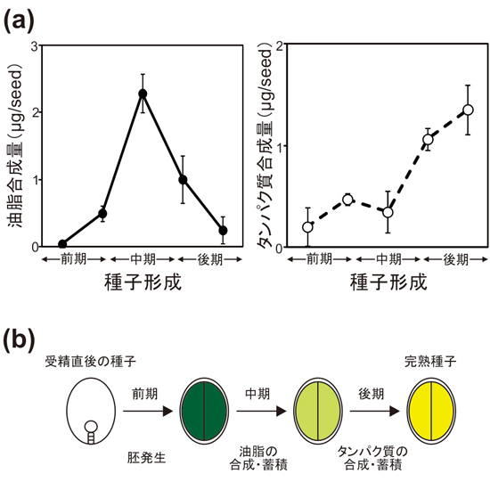 fig1.jpg