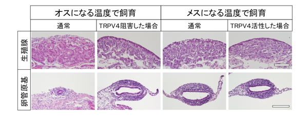 fig2.jpg