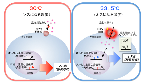 fig3.jpg