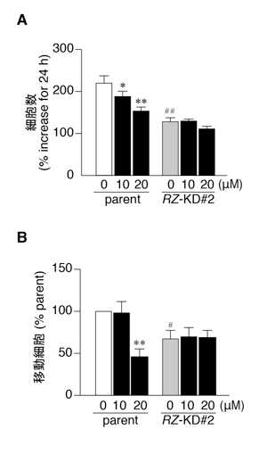 fig3.jpg