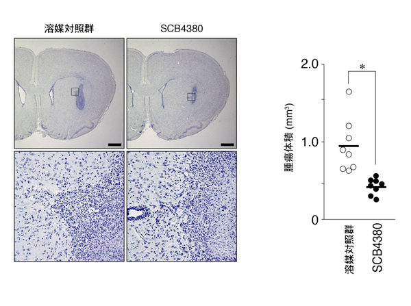 fig4.jpg