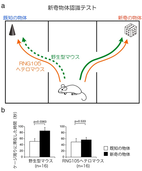 fig3.jpg