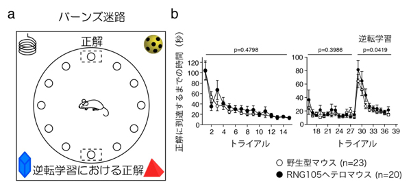 fig4.jpg