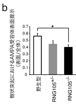 fig5-b.jpg