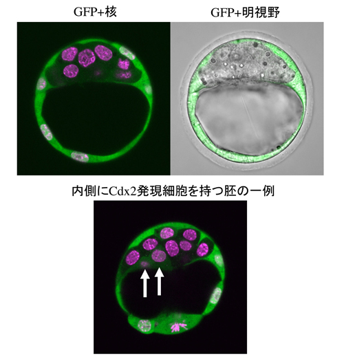 fig2.jpg