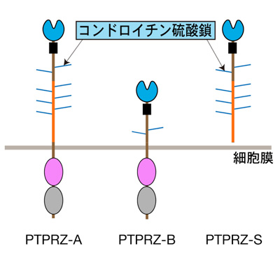 fig1.jpg