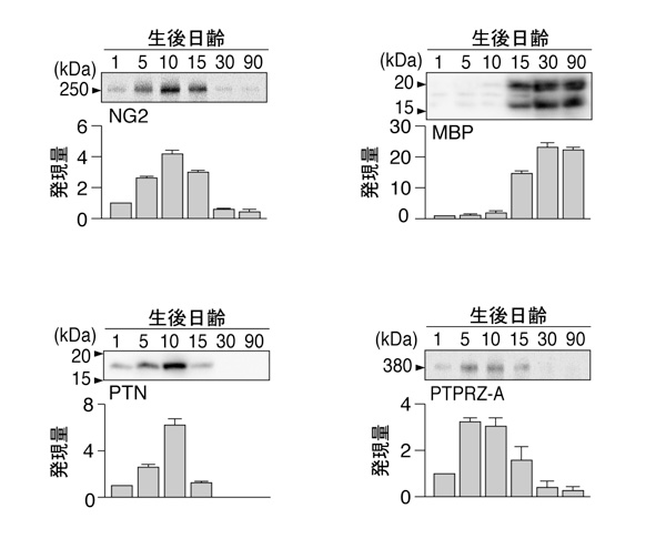 fig2.jpg