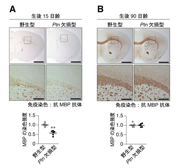 fig3.jpg