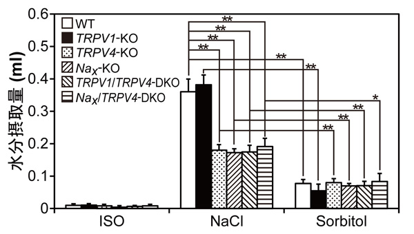 fig1.jpg