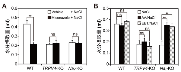 fig2.jpg