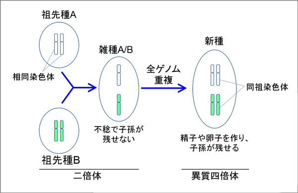 fig3.jpg