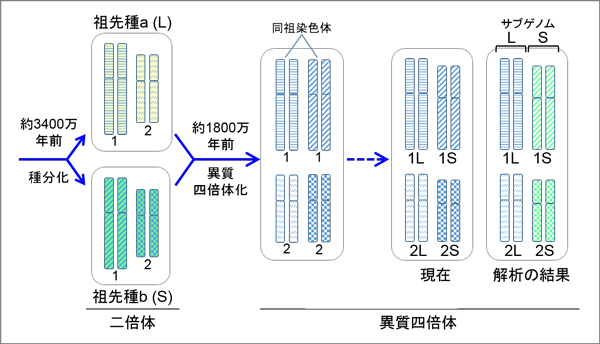 fig4.jpg