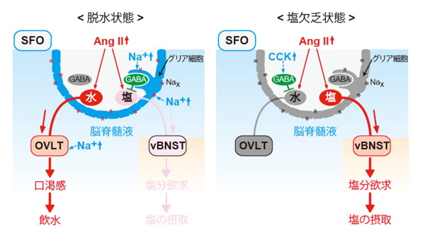 fig3.jpg