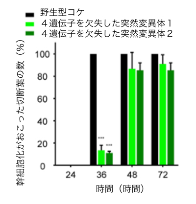 fig3.jpg