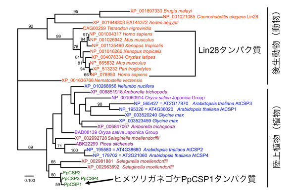 fig4.jpg