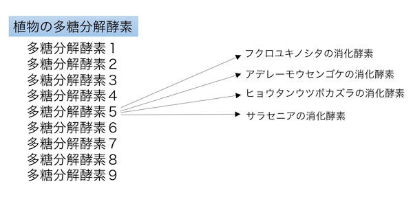 fig5.jpg