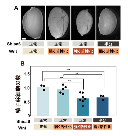 fig2.jpg