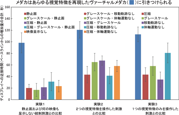 fig3.jpg