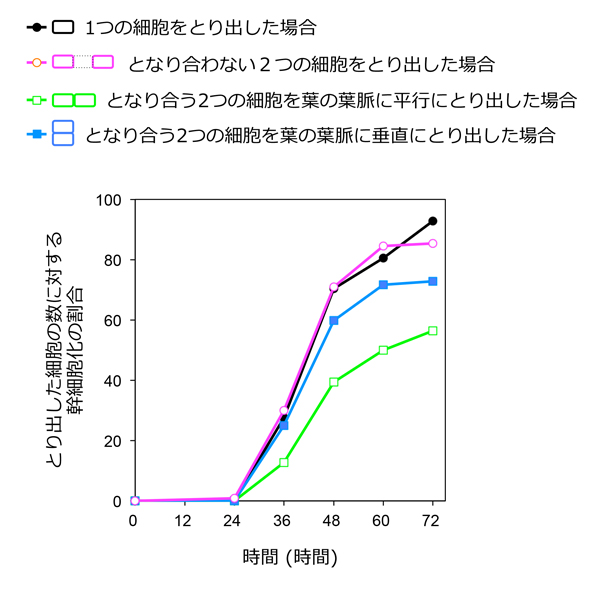 fig2.jpg