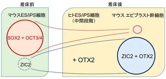 fig3.jpg