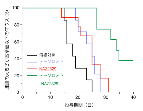 fig4.jpg