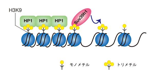 fig2.jpg