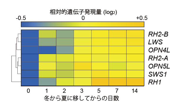 fig5.jpg