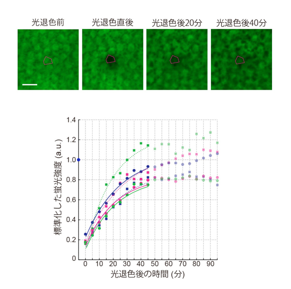 fig2.jpg