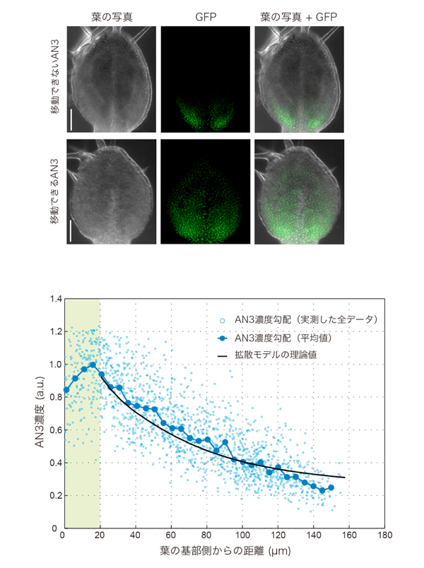 fig3.jpg