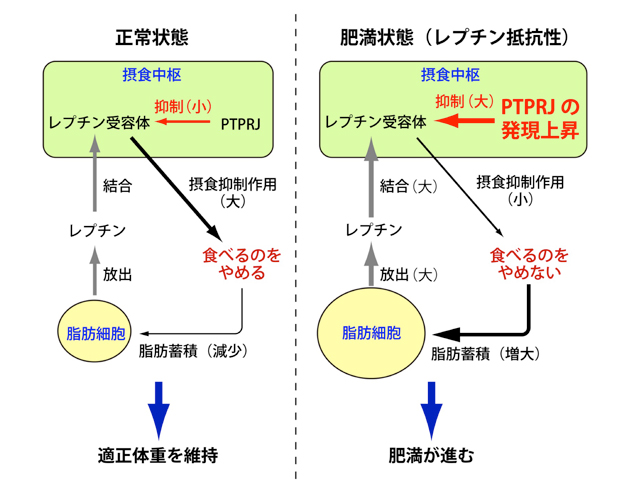 fig0.jpg