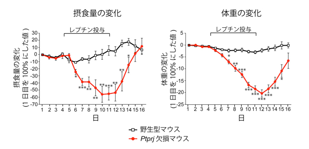 fig2.jpg