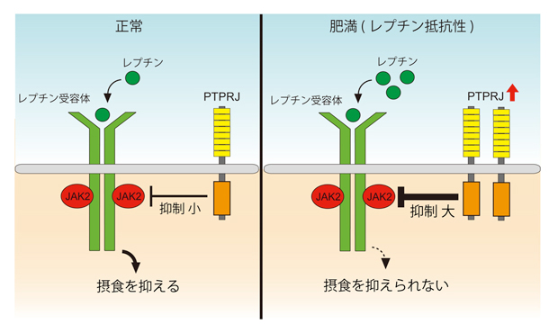 fig3.jpg