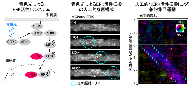 fig4.jpg