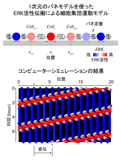 fig5.jpg