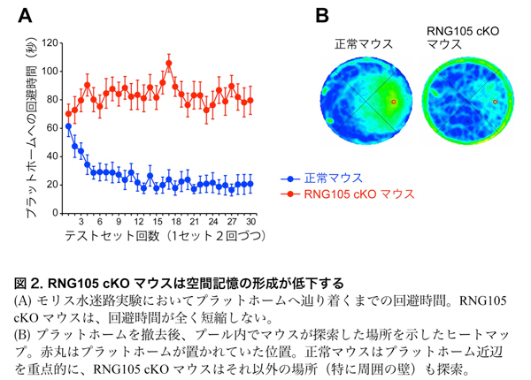 fig2.jpg