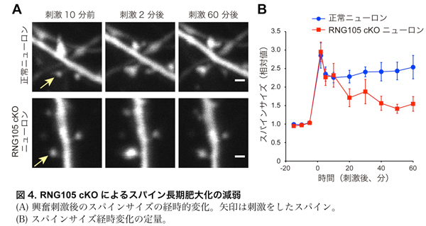 fig4.jpg