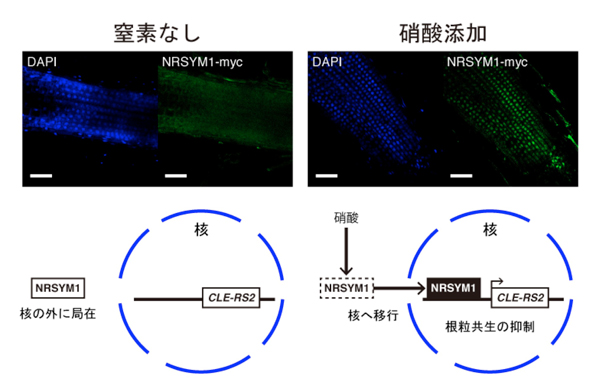 fig3.jpg