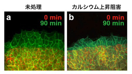 fig3.jpg