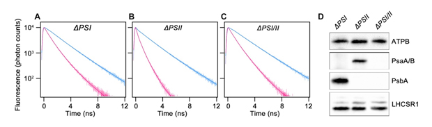 fig2.jpg