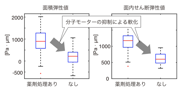 fig3.jpg