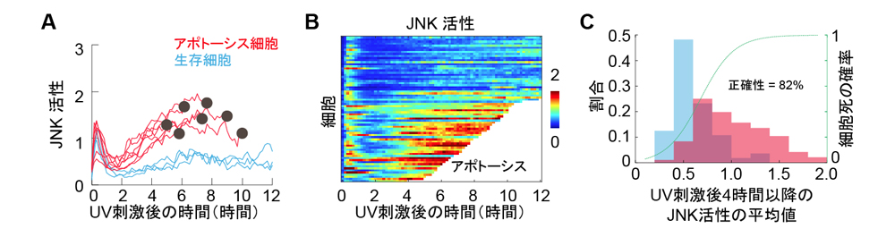 fig3.jpg