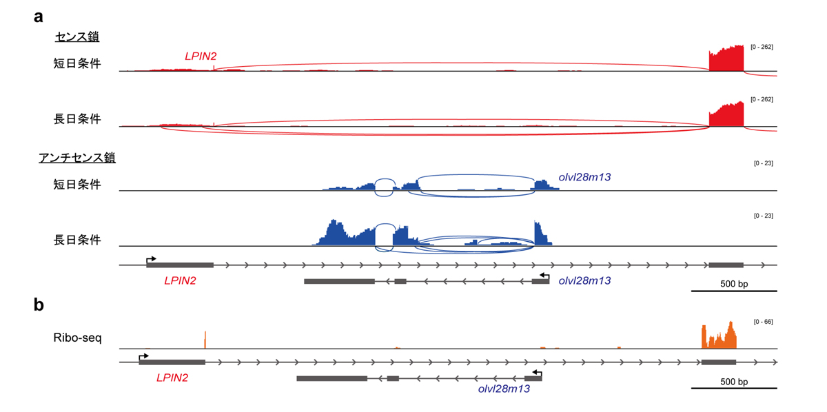 fig3.jpg