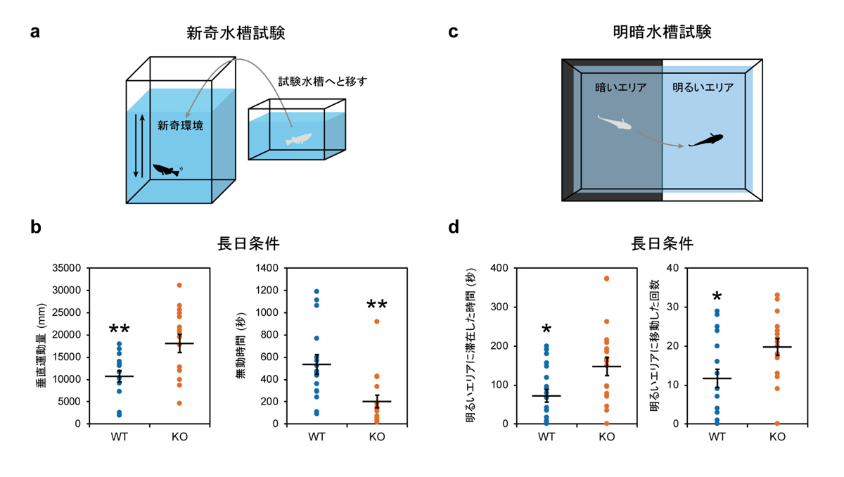 fig4.jpg