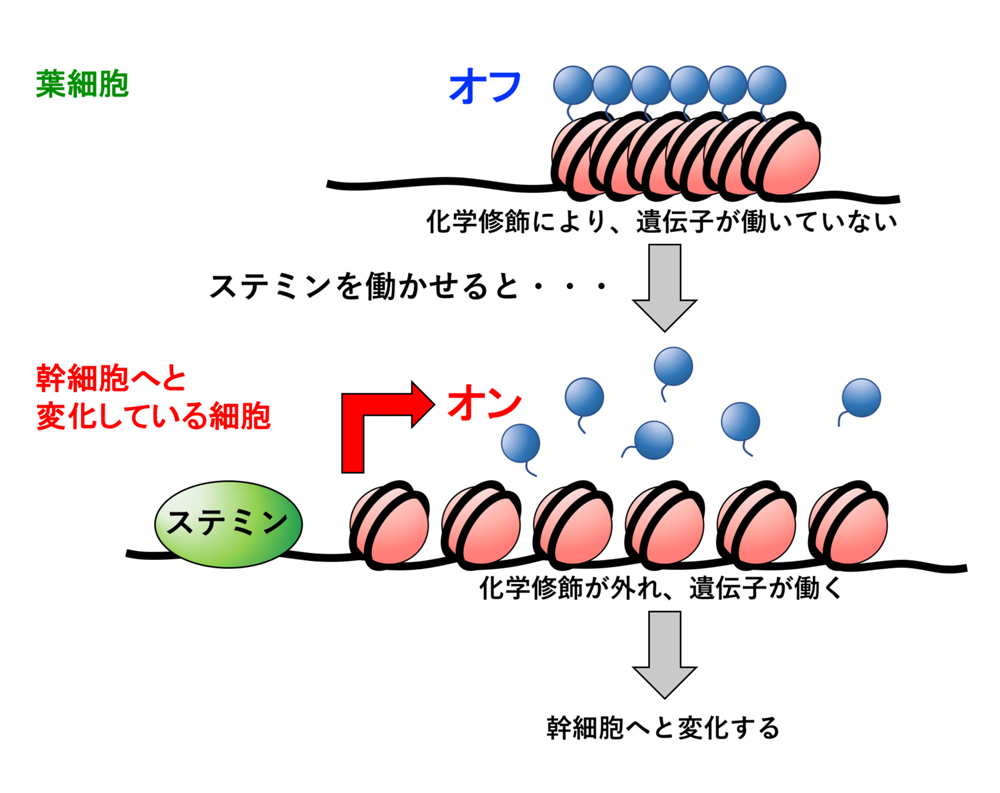 fig5.jpg