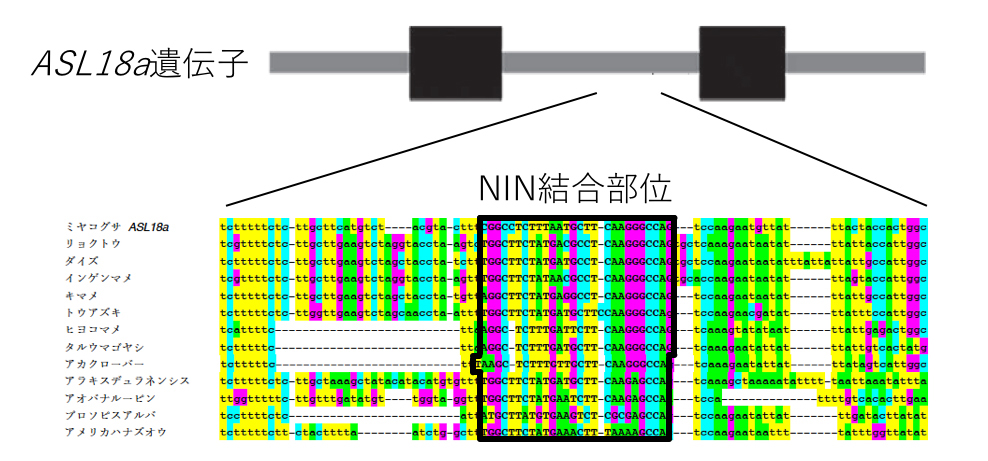 fig6.jpg