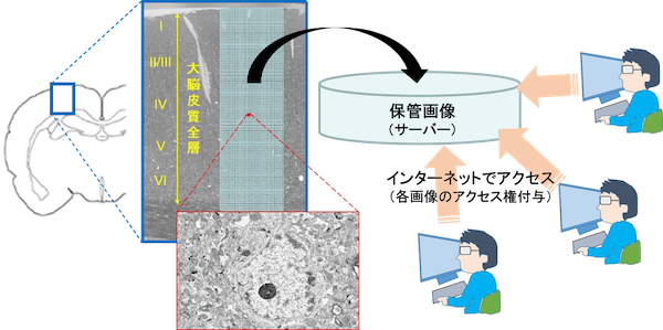 画像02