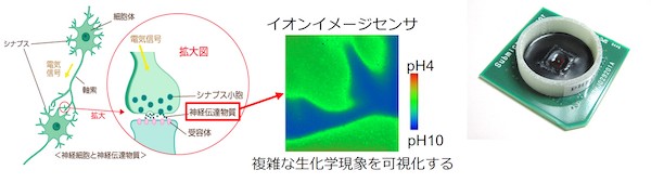 画像01