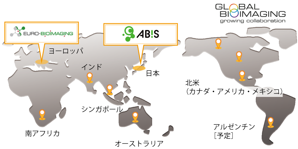 先端的なバイオイメージング技術の国際的なネットワーク構築にむけた取組を進めています