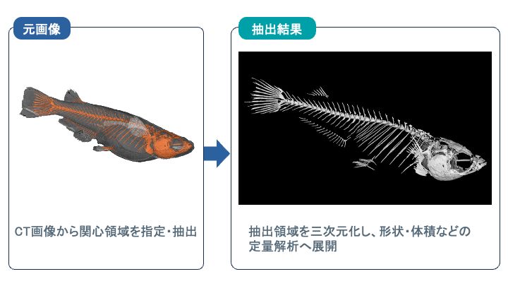 画像01