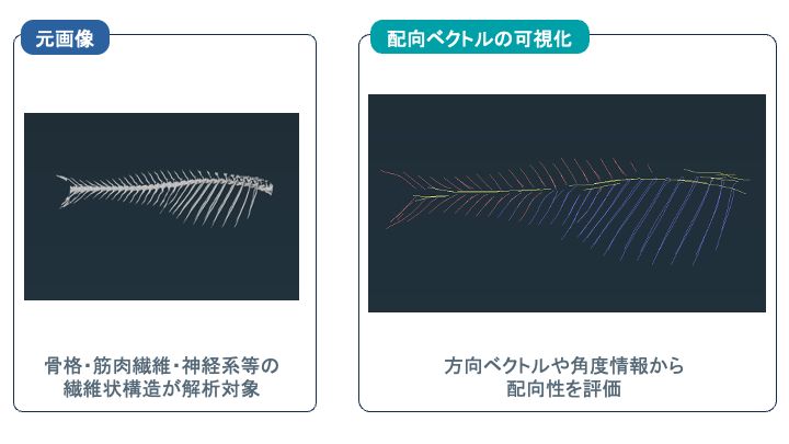 画像03